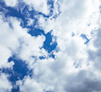 星野富弘ミニ詩画展のお知らせ