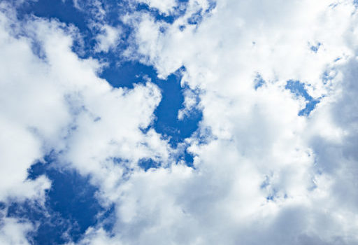 星野富弘ミニ詩画展のお知らせ